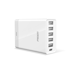 品胜-Type-C+5USB多口充电器(40W)(苹果白)